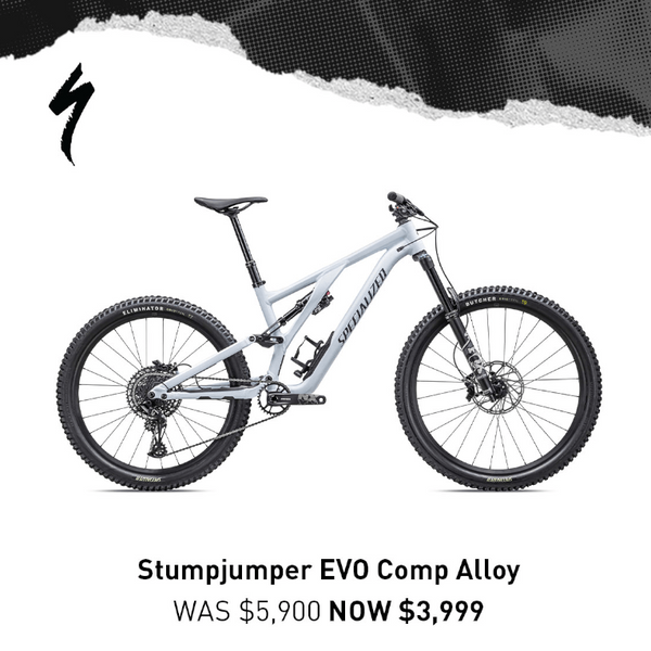 Specialized stumpjumper evo comp best sale alloy 29