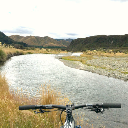 Te Iringa Track - February 2015
