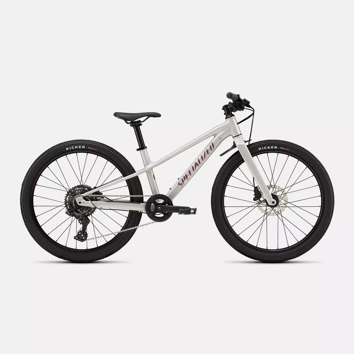 SPECIALIZED Juvenile Bikes Gloss Dolomite Metallic Specialized Riprock 24" 96526-8024